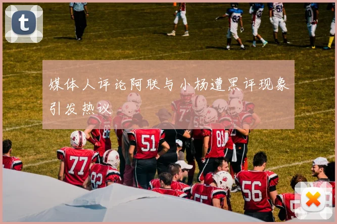 媒体人评论阿联与小杨遭黑评现象引发热议